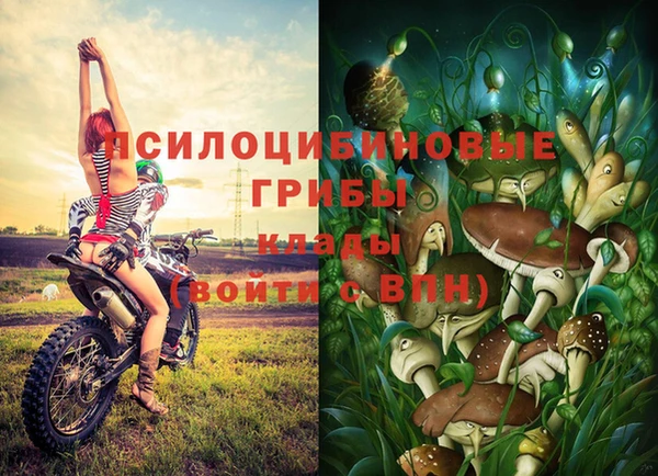 каннабис Новозыбков