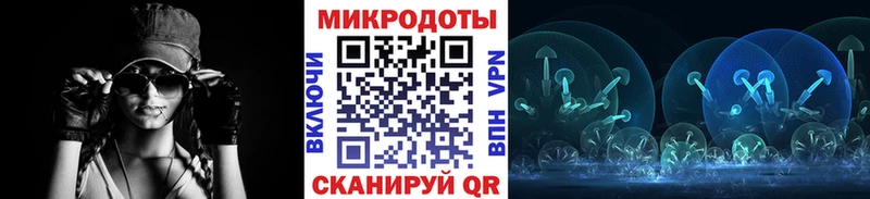 где продают   Суоярви  Галлюциногенные грибы GOLDEN TEACHER 